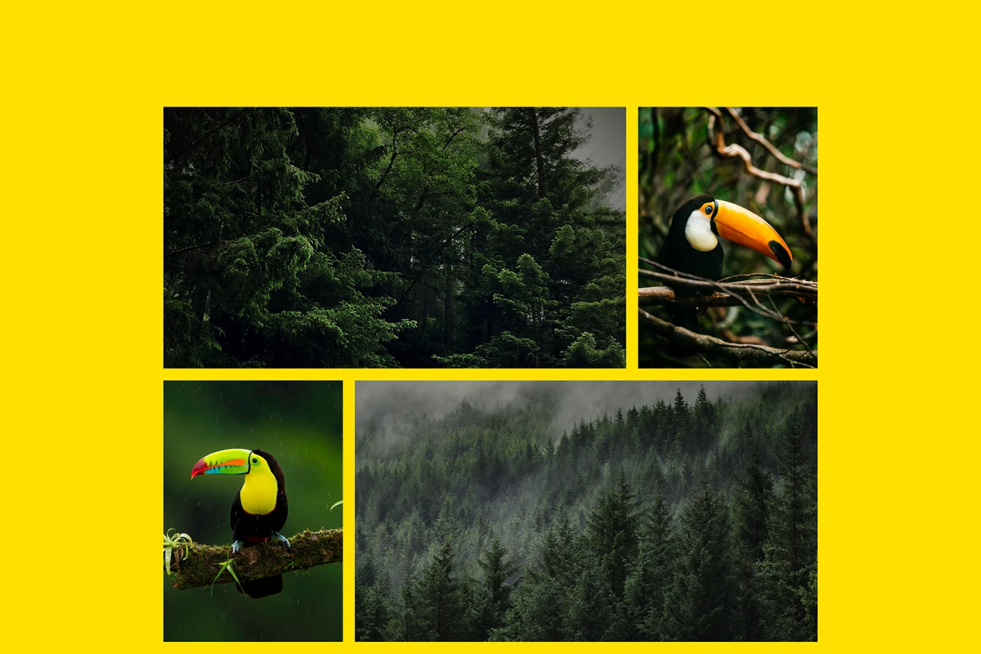 IVS Group branding