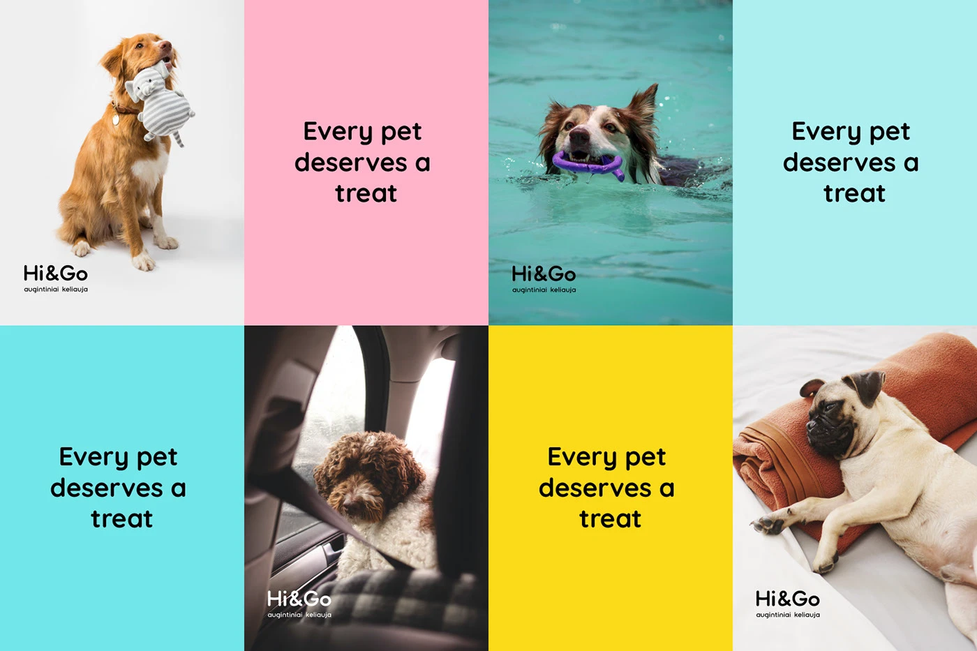 hi&go branding