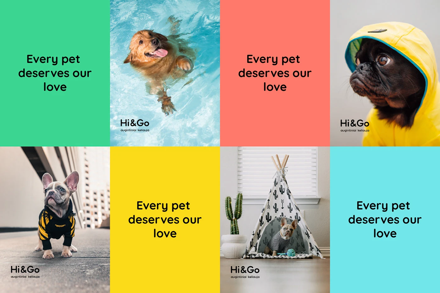 hi&go branding