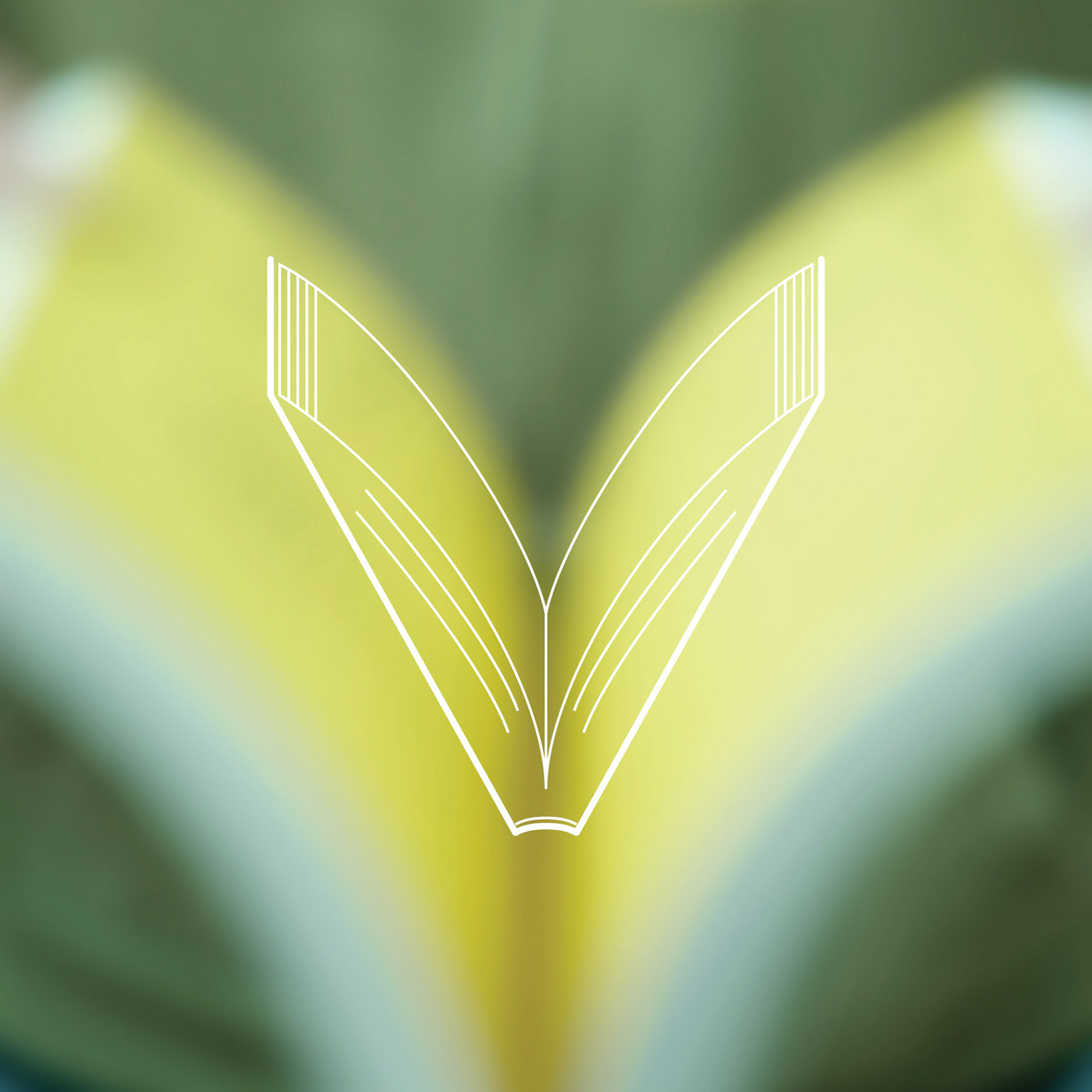 Decorative typeface
